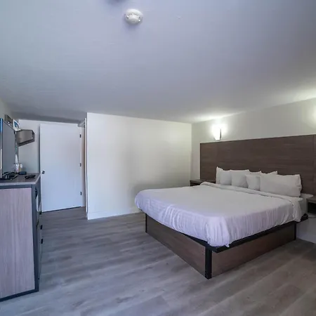 Viking Shores Motor Inn